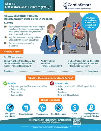 LVAD: What is a Left Ventricular Assist Device? – Infographic ...