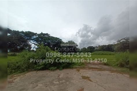 Msg 33 0250 Phase 2 Orchard Resl Estate And Golf And Country Club Brgy