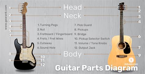 A Comprehensive Guitar Parts Diagram Guide Gearank