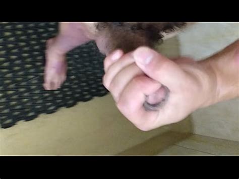 Divirtiéndose en la ducha de un camping XVIDEOS