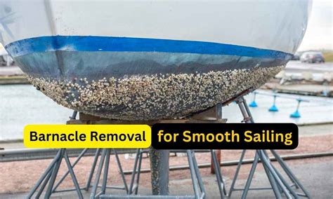 Effective Barnacle Removal for Smooth Sailing - Sailing Tips ...