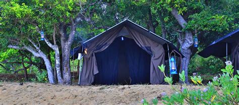 Kumana Beach Safari Camp | Kumana Beach Safari Camping | Beach Safari ...