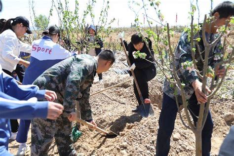 河北全民义务植树网