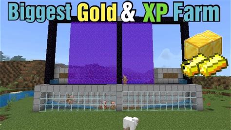 Biggest Gold And Xp Farm Tutorial In Minecraft Bedrock 1 21 Youtube