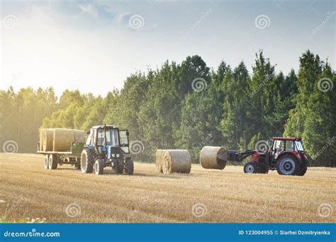 Agricultural Machinery On A Chamfered Golden Field Moves Bales Of Hay