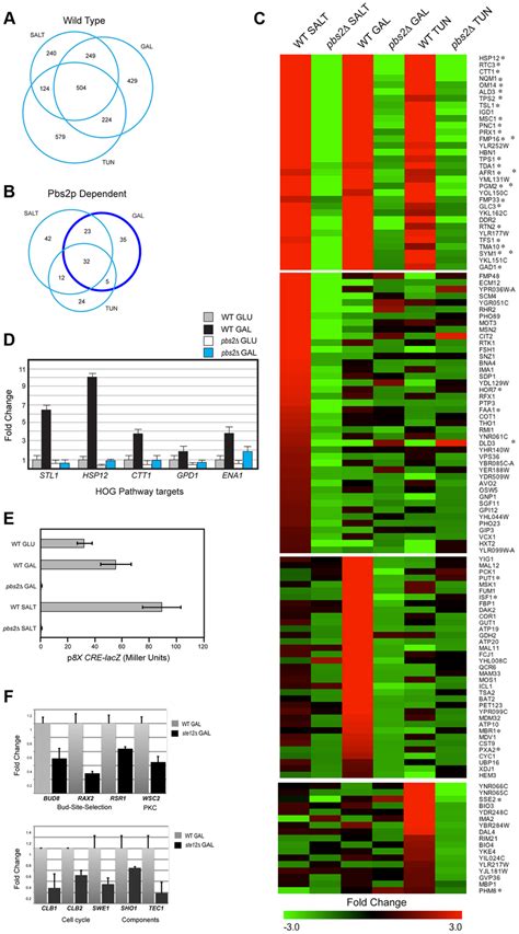 Gene Expression Profiling By Rna Seq Analysis And Qpcr A Genes