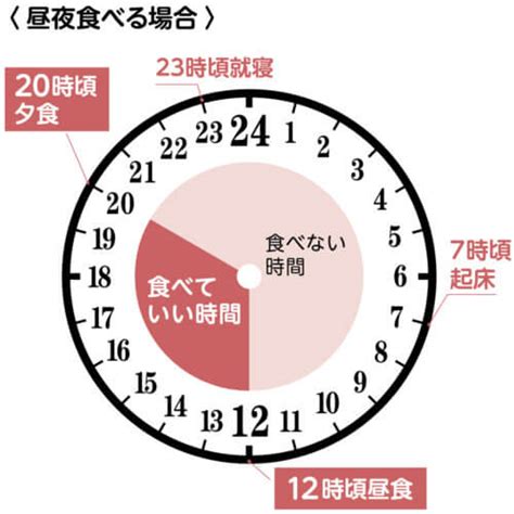 「16時間断食ダイエット」の効果が出る理由やメカニズムを解説！“オートファジー” 医学博士の青木厚さんがやり方を伝授 Lee