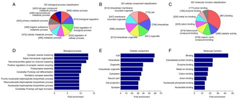 Differential Methylation Of CircRNA M6A In An APP PS1 Alzheimer S