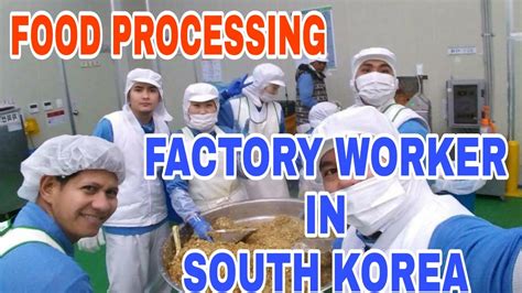 Sample Work In South Korea L Factory Worker L Food Processing Buhay