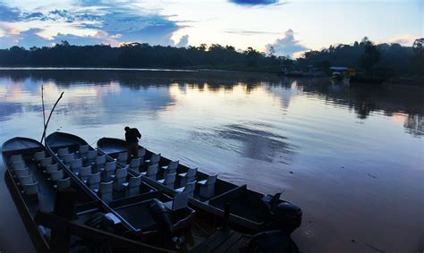 Kinabatangan River Cruise & Sepilok Orangutan Rehabilitation Centre