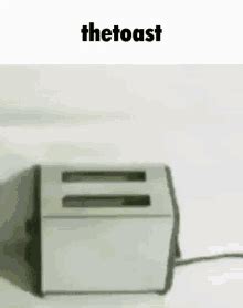 Toast Meme GIFs | Tenor