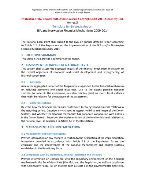 Strategic Management Report Template