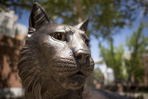 New Wildcat Statue Welcomed As Source Of Pride And School Spirit