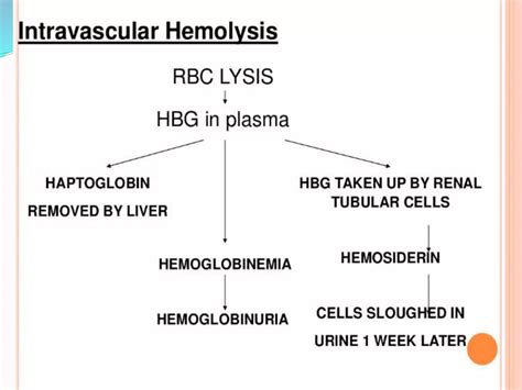 Approach To A Patient With Hemolytic Anaemia Ppt