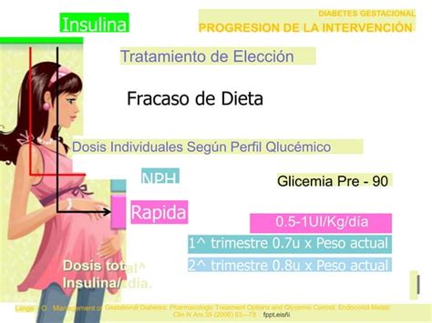 Control Prenatal Con Enfoque De Riesgo Terminadoo PPT Descarga Gratuita