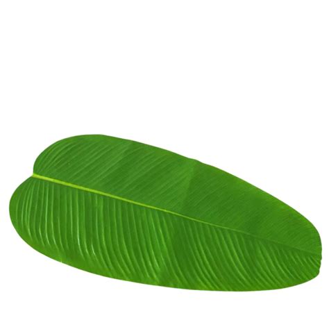 Jual Impodio Daun Pisang Palsu Banana Leaf Artifical Properti