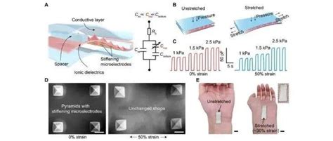 可拉伸压力传感器助力柔性机器人实现新突破王思泓研究技术