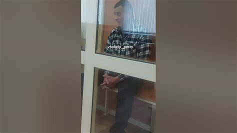 Последнее слово Аникеева И.В., обвиняемого по ст.245 ч. 2 п. в, ст 158 ...