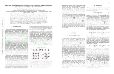 Variational Manifolds For Ground States And Scarred Dynamics Of