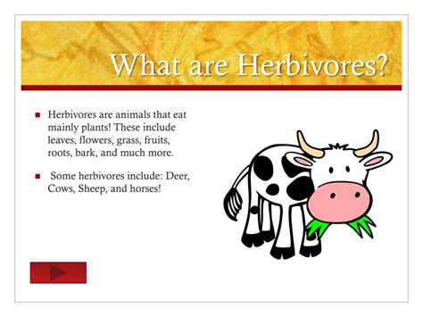 Ppt Carnivores Herbivores And Omnivores Powerpoint Presentation