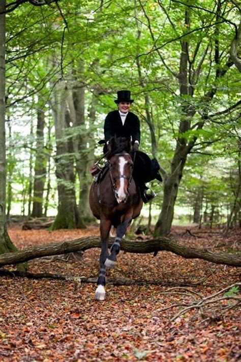 Pin by Daisybug on Sidesaddle | Horses, Horse life, Horse pictures