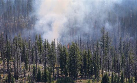 Photos More Than Two Dozen Wildfires Burn In The West Climate Signals