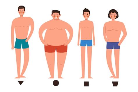 Free Vector Cartoon Types Of Male Body Shapes