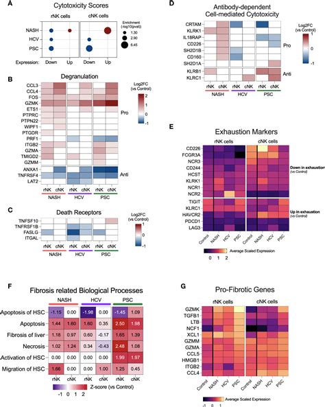 Frontiers Etiology Of End Stage Liver Cirrhosis Impacts Hepatic