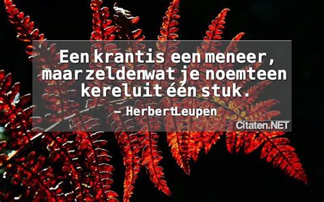 18 Citaten Met Meneer Citaten Quotes Uitspraken En Wijsheden