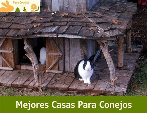 MEJORES CASAS PARA CONEJOS Comparativa y Guía