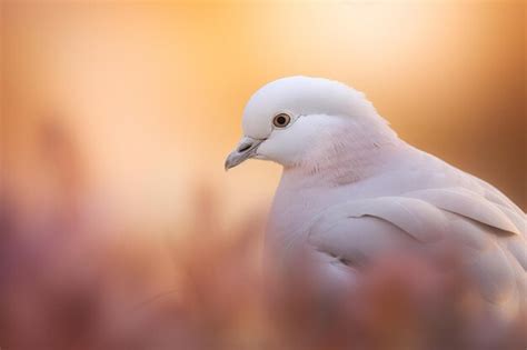 Premium Ai Image A Close Up Of A Bird Focused In Its Eye With A