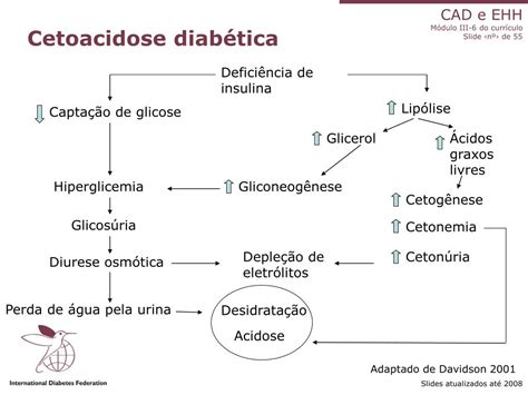 Ppt Cetoacidose Diab Tica E Estado Hiperglic Mico Hiperosmolar