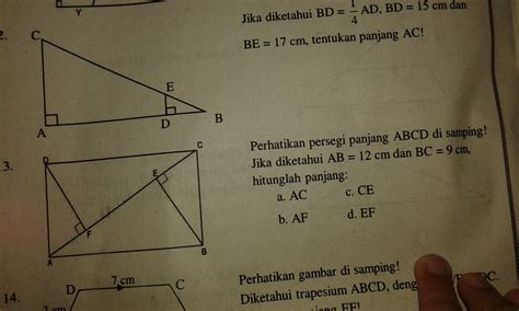 Tolong Ya Pliss Besok Dikumpulon Nih Brainly Co Id