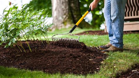 How To Sheet Mulch Angi