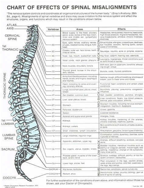 Effects Of Spinal Misalignment Burlington