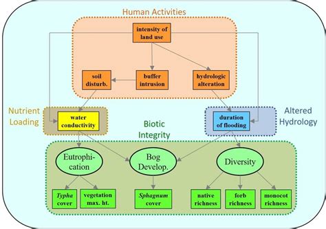 Example structural equation model representing a complex hypothesis ...