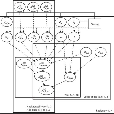 Directed Acyclic Graph Of Hierarchical Model For Estimating The Download Scientific Diagram