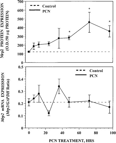 Time Course Of Mrp2 Protein And MRNA Expression In SD Rats After PCN