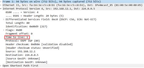 Ospf Ttl Security Check