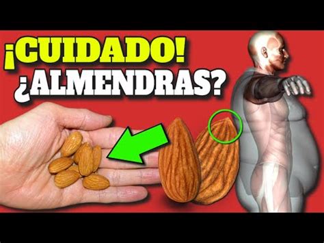 Descubre Cu Nto Pesa Una Almendra Todo Lo Que Necesitas Saber Sobre Su