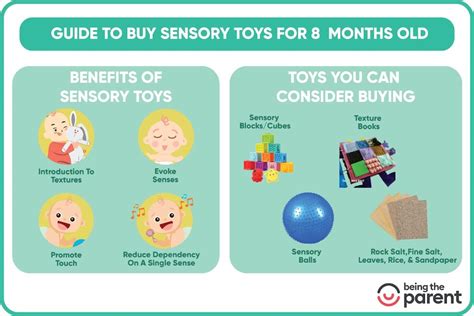 Toys For 8 Month Old Baby Types Benefits And What To Buy Being The