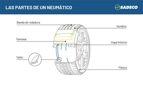 Cuáles son las partes de un neumático Blog Grupo Sadeco