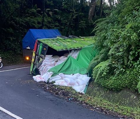 Truk Bermuatan Pakan Ternak Terguling Di Desa Sukawana Kintamani