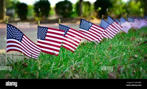 A select focus, low angle view of a display of miniature American flags ...