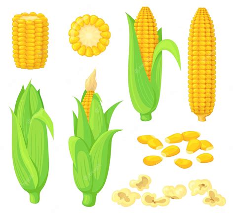 Corn Clipart Transparent Png - Corn On The Cob Clipart , Free - Clip ...