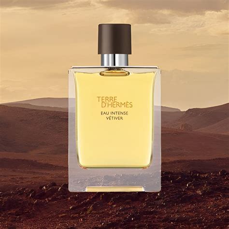 Hermès Terre Dhermès Eau Intense Vétiver Eau De Parfum 100ml Cosmetics Store