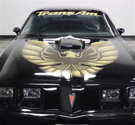 Oem Trans Am 40” Windshield Banner Decal Sticker New 1pc Fits Pontiac