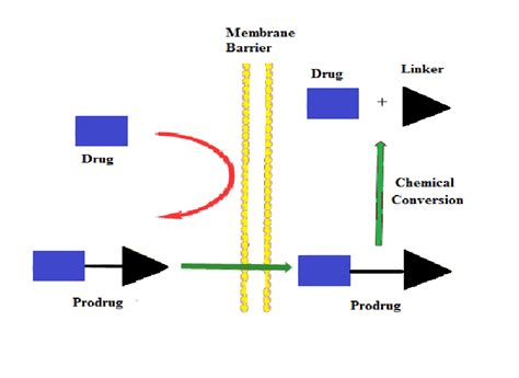 Schematic Representation Of The Prodrug Chemical Approach Download