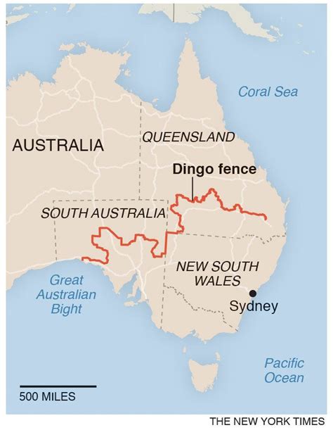 The Dingo Fence in 2021 | Dingo fence, Pacific ocean, New south