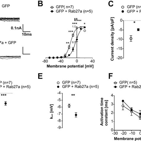 Modulation Of Ca V Ba Currents By Rab A Expression In Cho K